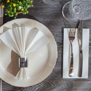 Airlaid 40 x 40 cm - Image 1